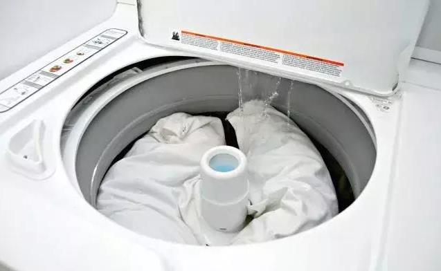 一個枕頭竟有億萬蟎蟲？教你妙招「不用拆不用水洗」　一招快速將所有塵蟎除去