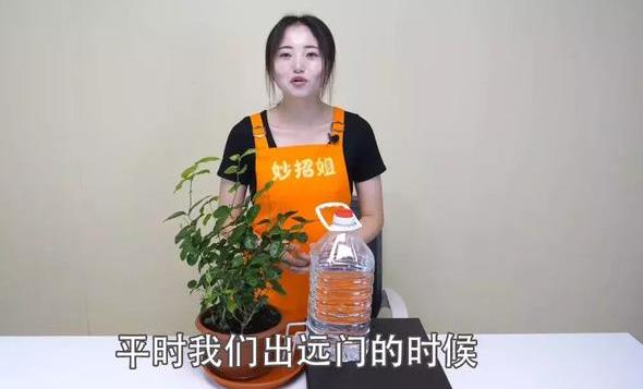 空寶特瓶不要仍！插上2跟吸管「省錢又實用」　超猛用途鄰居看了紛紛效仿！
