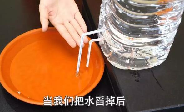 空寶特瓶不要仍！插上2跟吸管「省錢又實用」　超猛用途鄰居看了紛紛效仿！