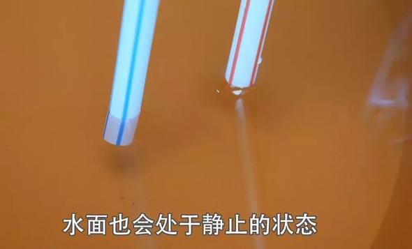 空寶特瓶不要仍！插上2跟吸管「省錢又實用」　超猛用途鄰居看了紛紛效仿！