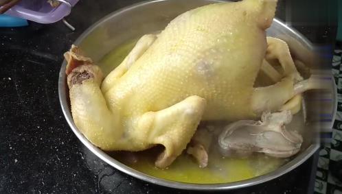 自製「客家蔥油雞」   用料簡單    卻是香嫩好滋味！女兒：好久沒有吃到這麼好吃的雞了
