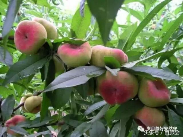 73歲奶奶獨自旅行樂逍遙！「每天跟92歲母親視訊」報行蹤：活成17歲少女心