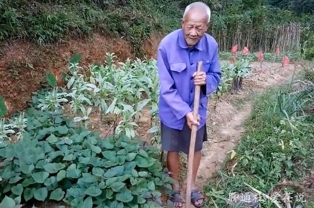 牽手將近一世紀！百歲夫妻「隱居山中樂逍遙」 每天下田耕種：相差10歲更幸福