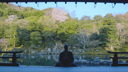 2種身分！日本和尚改編《波若心經》人氣爆棚　白天念經晚上開演唱會