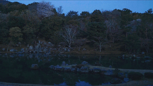 2種身分！日本和尚改編《波若心經》人氣爆棚　白天念經晚上開演唱會