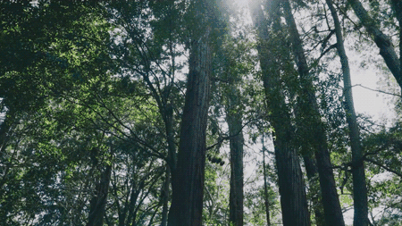 2種身分！日本和尚改編《波若心經》人氣爆棚　白天念經晚上開演唱會