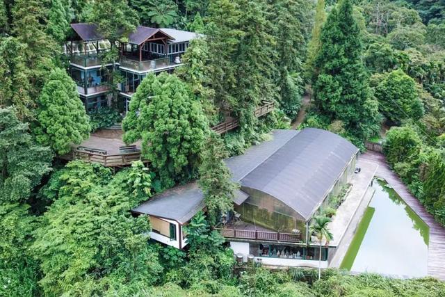 教授買下「苗栗10000㎡山頭」30年 夫妻協力守護山林：想讓自然界重新發展
