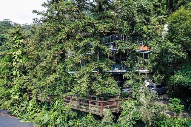 教授買下「苗栗10000㎡山頭」30年 夫妻協力守護山林：想讓自然界重新發展