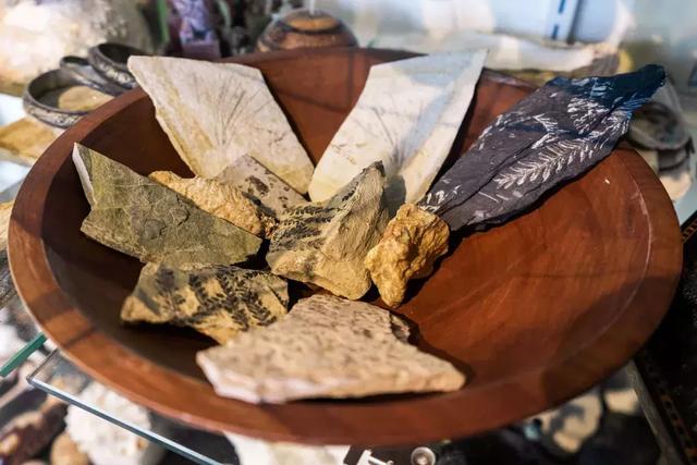 教授買下「苗栗10000㎡山頭」30年 夫妻協力守護山林：想讓自然界重新發展