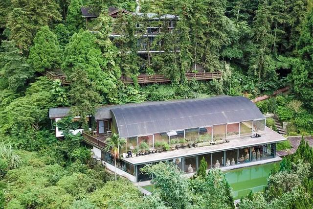 教授買下「苗栗10000㎡山頭」30年 夫妻協力守護山林：想讓自然界重新發展