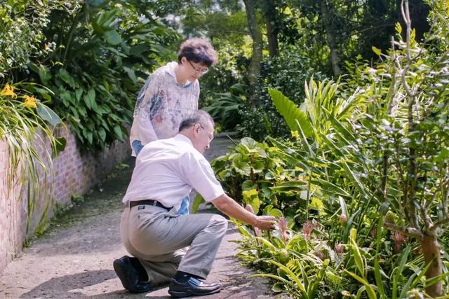 教授買下「苗栗10000㎡山頭」30年 夫妻協力守護山林：想讓自然界重新發展