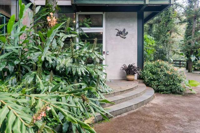教授買下「苗栗10000㎡山頭」30年 夫妻協力守護山林：想讓自然界重新發展