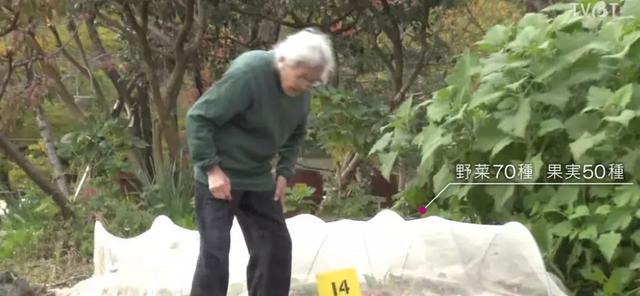 人生的果實越久越美好！日本夫妻「相伴65年」 攜手種菜互相提醒：衰老不代表伴隨痛苦
