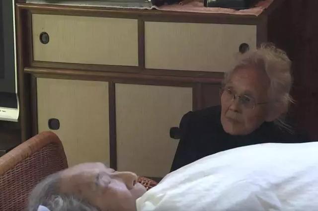 人生的果實越久越美好！日本夫妻「相伴65年」 攜手種菜互相提醒：衰老不代表伴隨痛苦