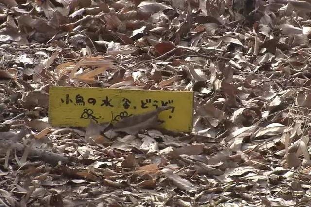 人生的果實越久越美好！日本夫妻「相伴65年」 攜手種菜互相提醒：衰老不代表伴隨痛苦