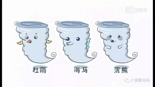 「爸爸，為什麼颱風它叫山竹不叫榴槤呢？」原來颱風的命名那麼有趣，快告訴你的孩子！