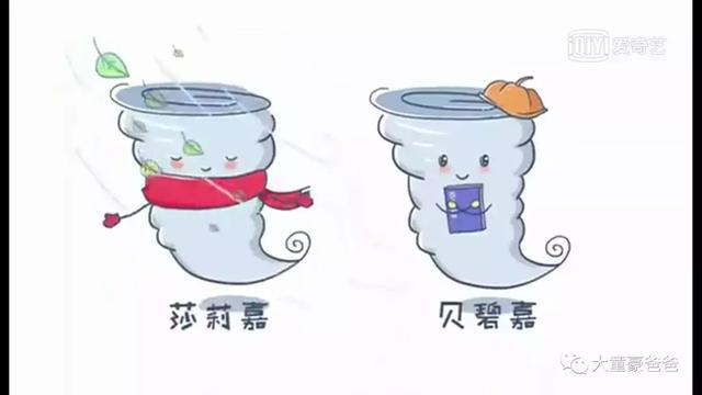 「爸爸，為什麼颱風它叫山竹不叫榴槤呢？」原來颱風的命名那麼有趣，快告訴你的孩子！