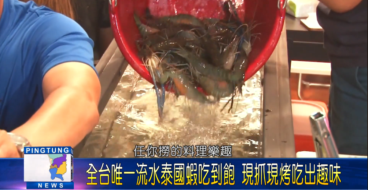  全台第一間！從泰國引進「流水蝦吃到飽」日天吃200斤　餐桌旁設「11公尺長水道」想吃自己撈