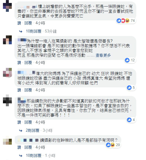 狗媽媽為保護孩子「狂吠對抗眼鏡蛇」不顧危險　展現母愛「最後被逼到牆角」結局網落淚