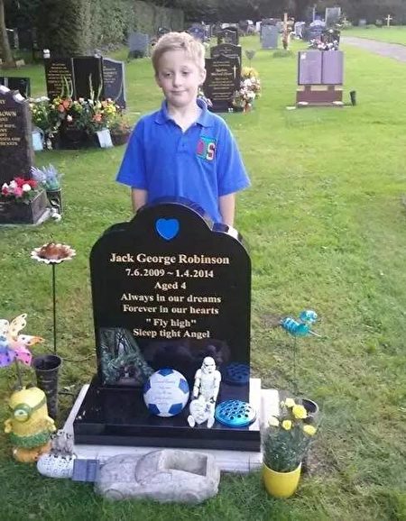 兒子回來了？知更鳥停在兒子墓碑「母親一喚便飛到手上」  輕啄後離開像道別：媽媽我會在