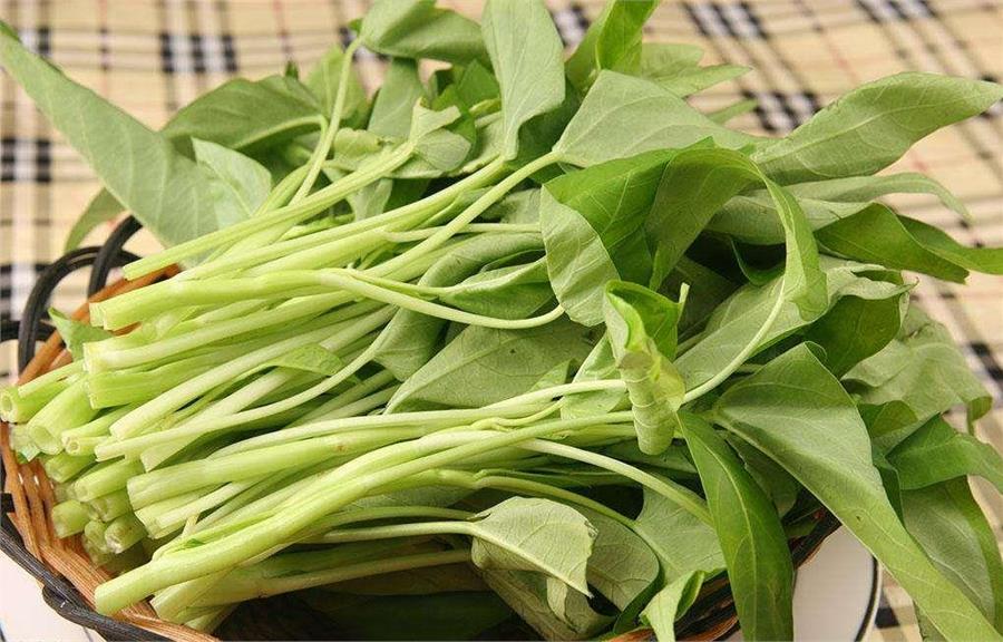 空心菜別再炒了！這樣吃最營養    做出來的空心菜不會變黑    色香味俱全