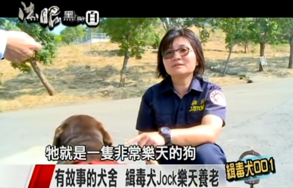 一生奉獻！國內首隻英雄汪「退休3年離開世界」 化作天使楊梅樹下驚現：我看到牠了