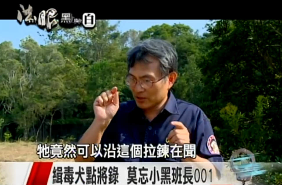 一生奉獻！國內首隻英雄汪「退休3年離開世界」 化作天使楊梅樹下驚現：我看到牠了