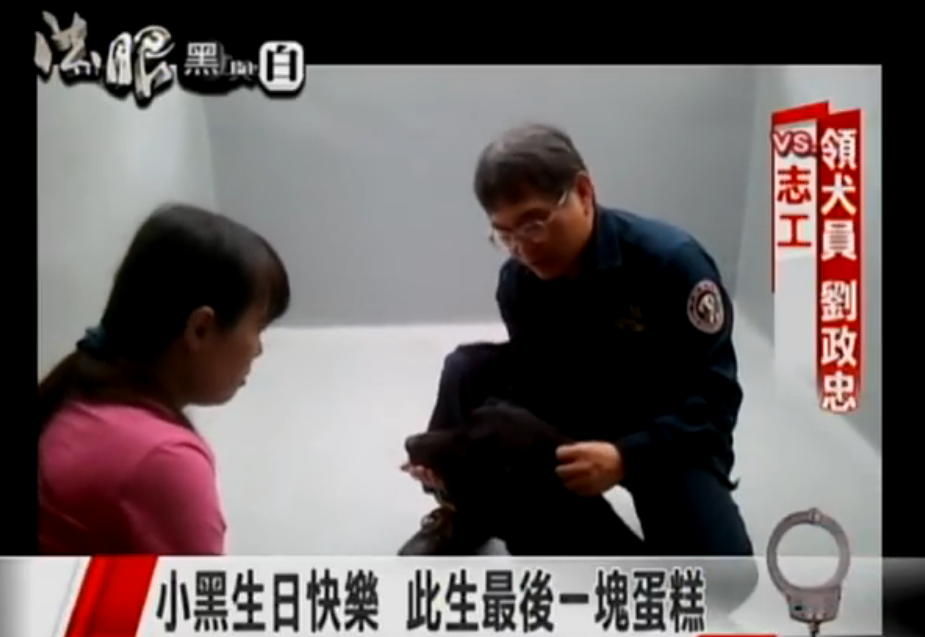 一生奉獻！國內首隻英雄汪「退休3年離開世界」 化作天使楊梅樹下驚現：我看到牠了