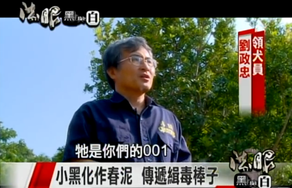 一生奉獻！國內首隻英雄汪「退休3年離開世界」 化作天使楊梅樹下驚現：我看到牠了