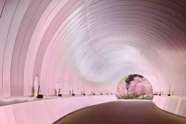 十里桃花源真的存在！貝聿銘用7年建造美術館  彷彿身在詩中：「忽逢桃花林，夾岸數百步」