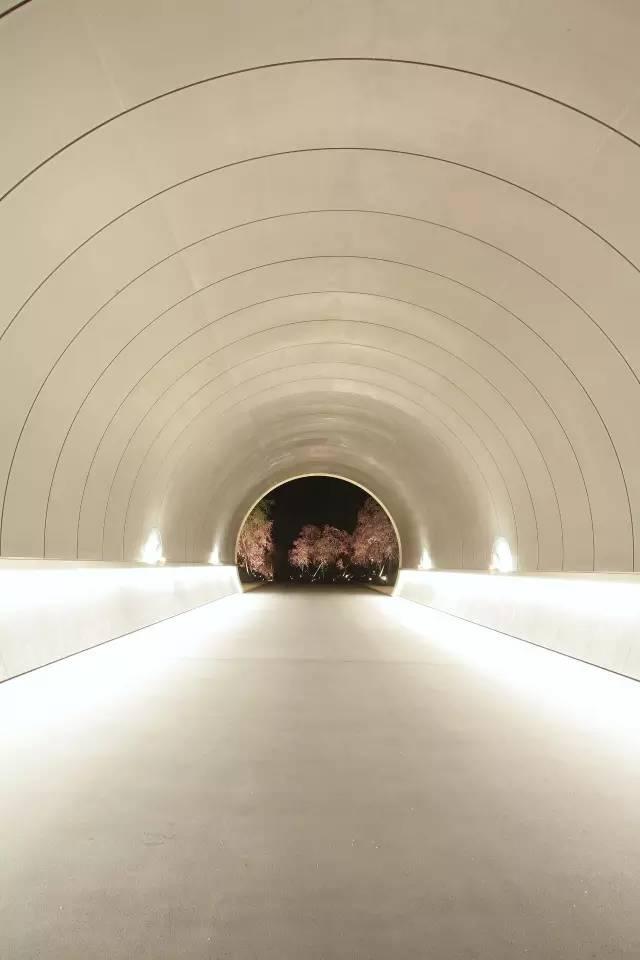 十里桃花源真的存在！貝聿銘用7年建造美術館  彷彿身在詩中：「忽逢桃花林，夾岸數百步」