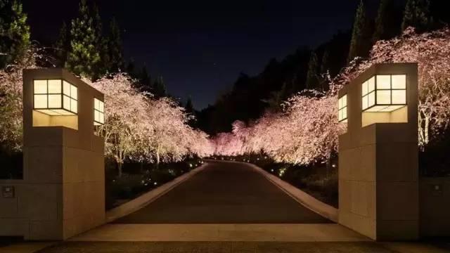十里桃花源真的存在！貝聿銘用7年建造美術館  彷彿身在詩中：「忽逢桃花林，夾岸數百步」