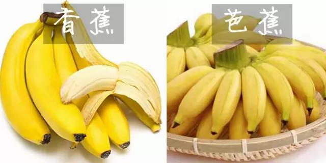 「香蕉和芭蕉」長很像，營養卻差很多，你吃對了嗎？