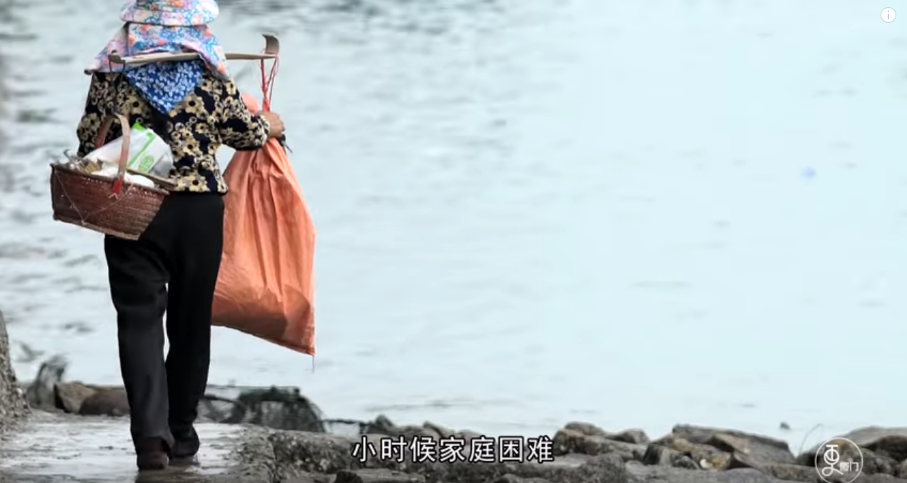 半生石花，一生為家！她曾掉海3次堅持走下去 靠石花度過坎坷：不想當孩子負擔