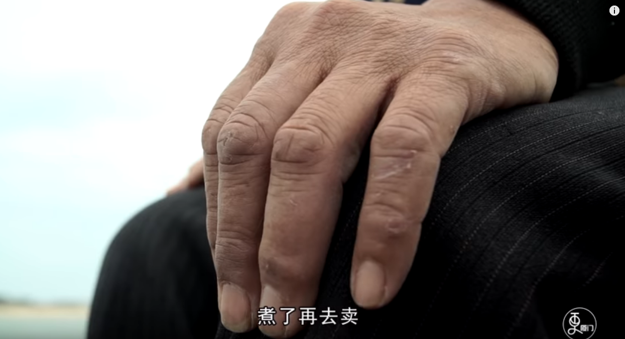 半生石花，一生為家！她曾掉海3次堅持走下去 靠石花度過坎坷：不想當孩子負擔