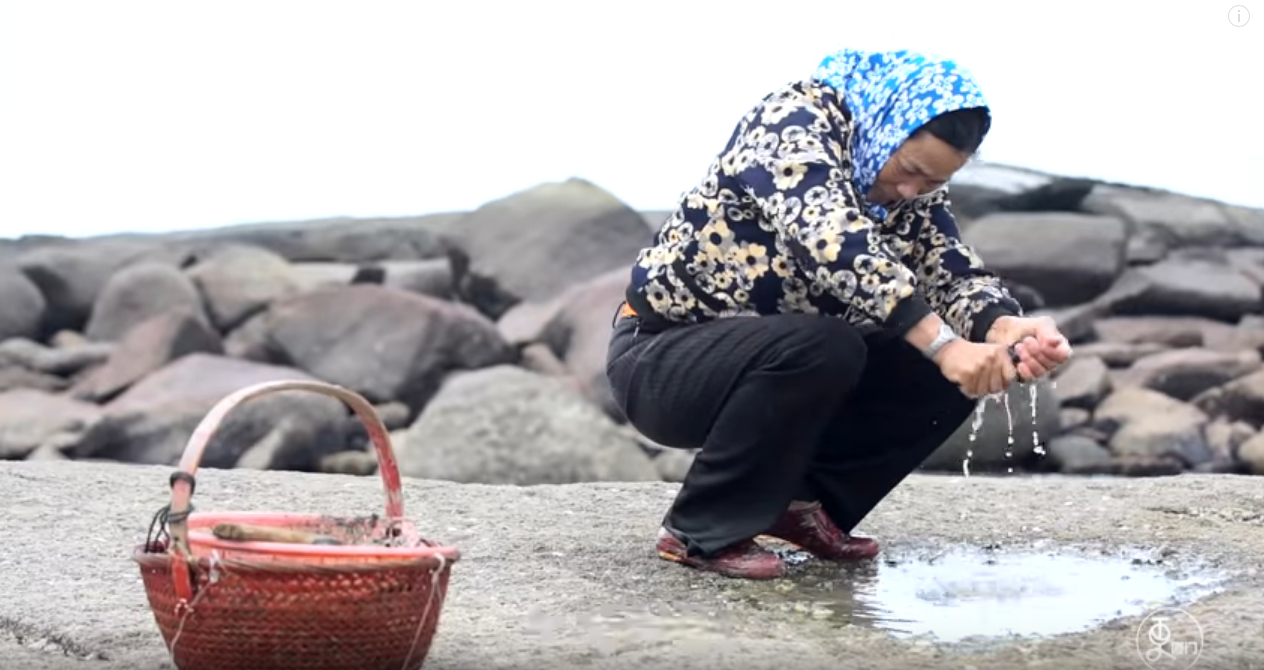 半生石花，一生為家！她曾掉海3次堅持走下去 靠石花度過坎坷：不想當孩子負擔