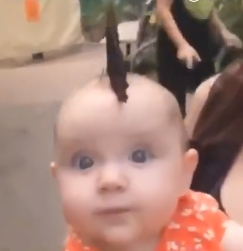 好美的組合！大蝴蝶飛舞「落在寶寶頭上不肯走」  超萌反應萬名網友甜喊：是妳嗎香妃