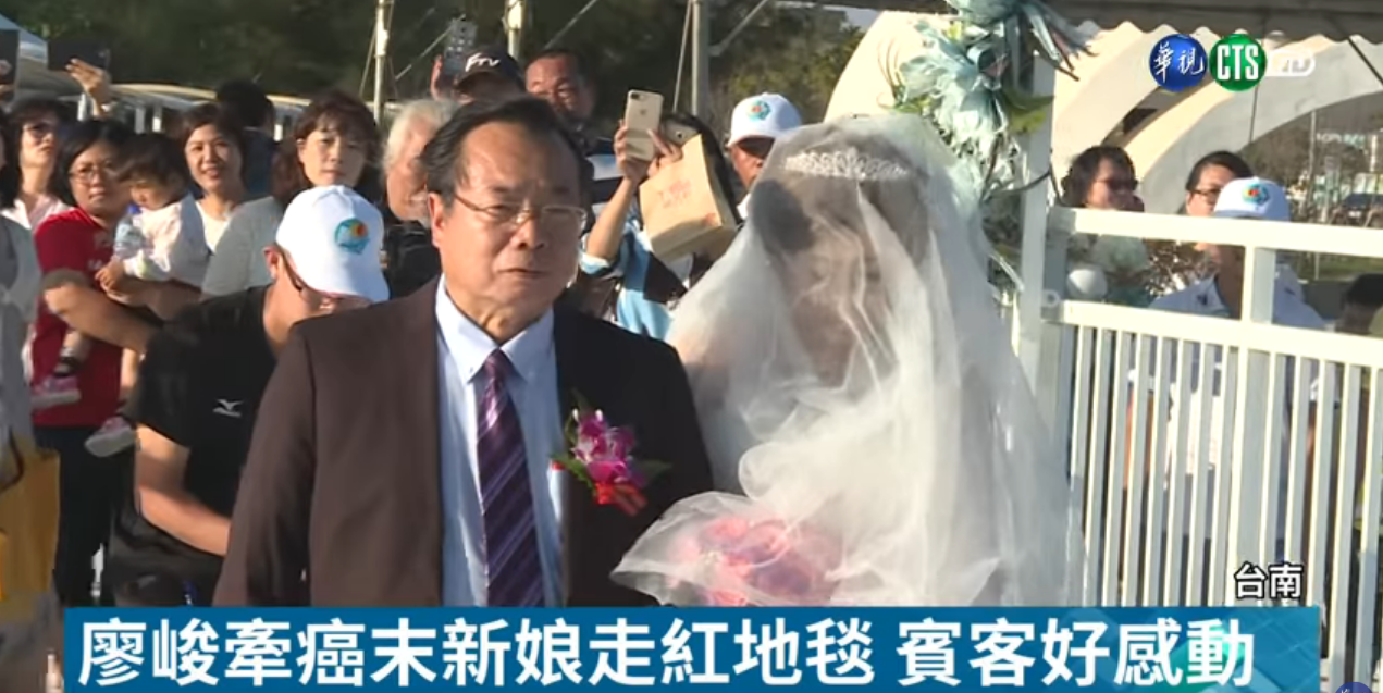 廖峻代家長牽新娘走紅毯！ 她「因病情數次拒嫁」  男友不放棄求婚最後點頭圓夢 