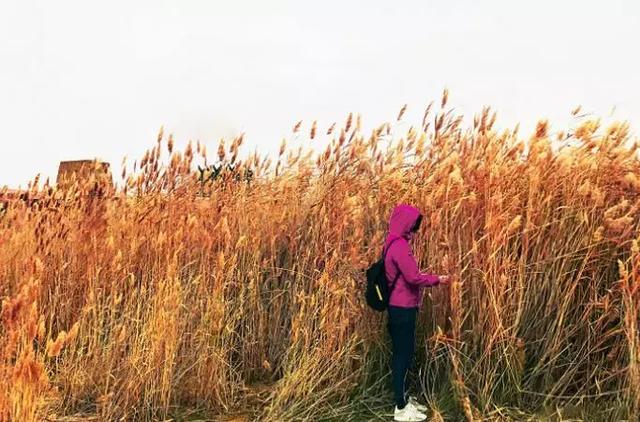 「再忙，也要去旅行」人生短短幾十年  衝出舒適圈讓故事留下：不要過別人希望的日子