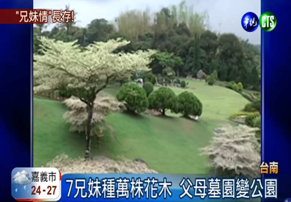 不讓分家產傷感情！七兄妹合力種萬株花木打造公園 「齊心守護」父母留的農地