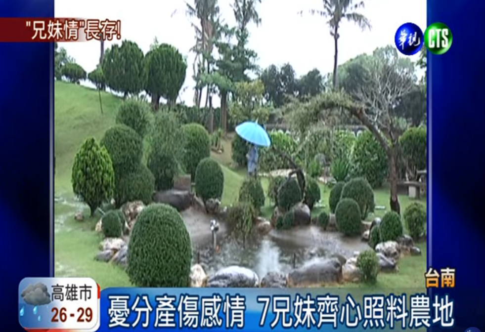 不讓分家產傷感情！七兄妹合力種萬株花木打造公園 「齊心守護」父母留的農地