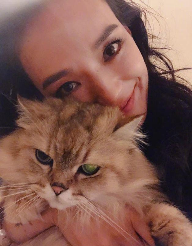 淡然接受不完美!舒淇這張臉「看著彷彿寫滿了故事」 舉手投足都充滿氣質