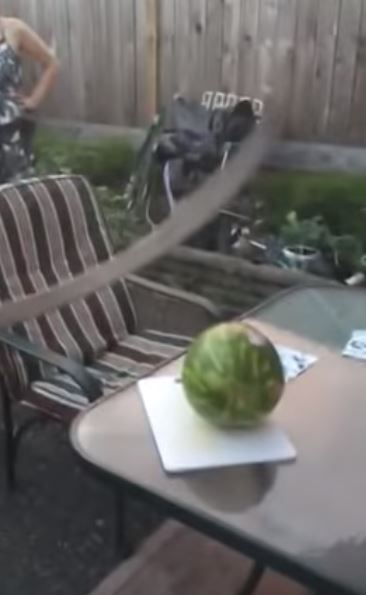 他在鄰居面前「耍帥切西瓜」！一切下去「驚人破壞力全場傻眼」500萬網友狂笑：下場好慘