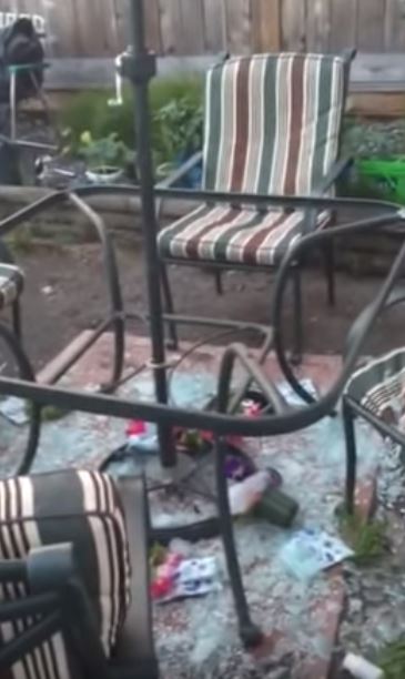 他在鄰居面前「耍帥切西瓜」！一切下去「驚人破壞力全場傻眼」500萬網友狂笑：下場好慘