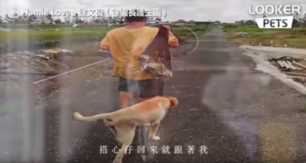 被狗狗救贖的浪子！ 徐園長「用救援行動報答」 摯愛夥伴搭心仔一生約定網友全淚崩