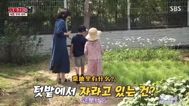 大長今李英愛「當綜藝主持人收入全捐出」 一看龍鳳胎大暖心：女神的生活太美好了