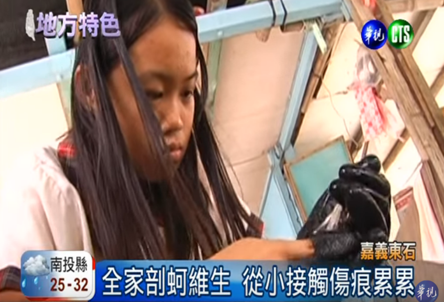 小五學生「幼稚園開始剖蚵」從小傷痕累累不喊苦! 一分鐘40顆奪冠:想把獎金給家人