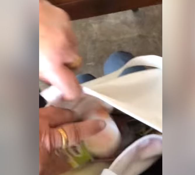 不要跟你爸媽講！阿嬤雙手「拿滿零食」偷塞給孫子　一個小舉動卻感動萬人：永遠怕我們吃不飽 