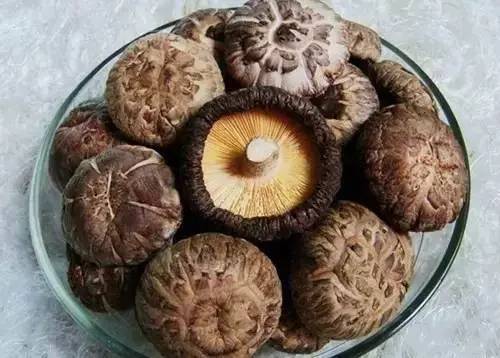 白蘿蔔和它一起燉湯「香甜好喝 暖身驅寒」最適合秋冬季節湯品