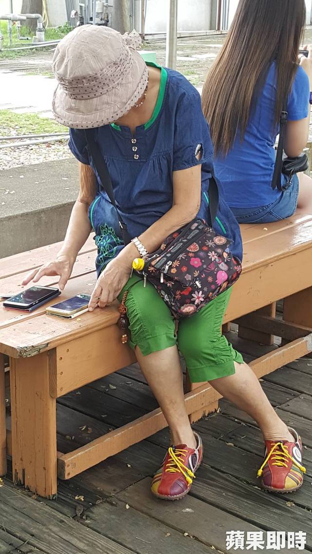 寶可夢是阿嬤的性命!最年長寶友「芳芳阿姨」抓寶忘病痛 網友號招「全鎮落下櫻花雨」淚送最後一程